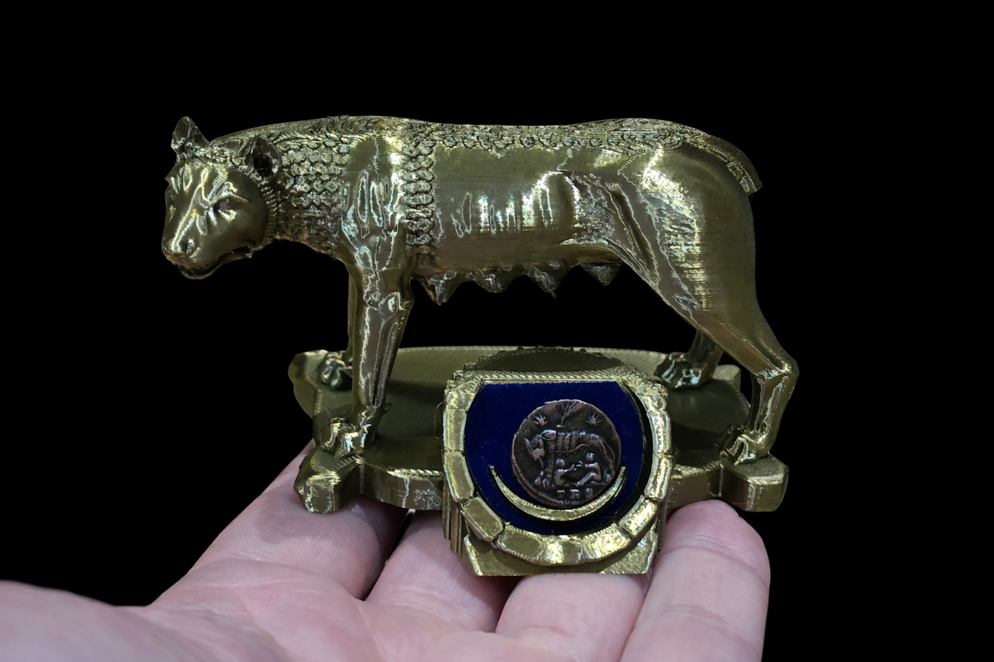 Urbs Roman Capitoline Wolf Roman Coin Display