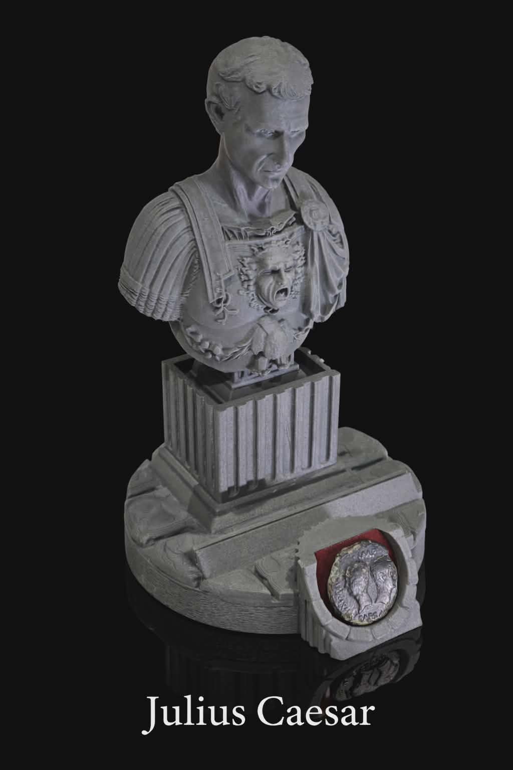 Roman Emperors & Celtic Leaders Bust Coin Displays